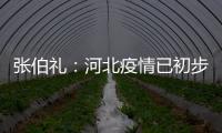 张伯礼：河北疫情已初步得到抑制 整体形势可控