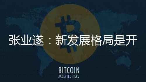 张业参与国际经济大循环
