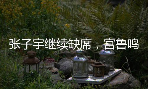 宫鲁鸣教练不用张子宇