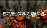 巴西足协官方祝福维尼修斯生日：他激励了整整一代人去追求梦想