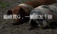 巅峰竞G�，一触即发！徐工挖机掀起潇湘大地竞技热潮