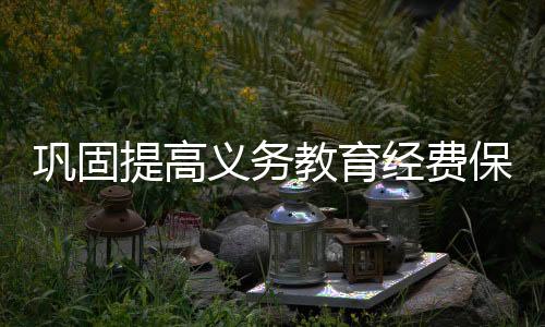 巩固支持加快补齐短板弱项
