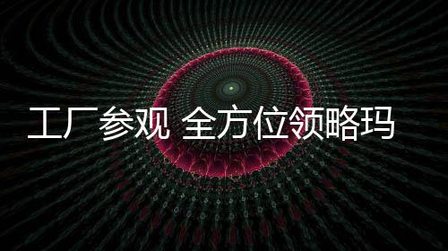 工厂展开了交流学习