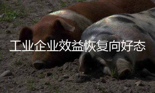 工业企业营收逐步改善