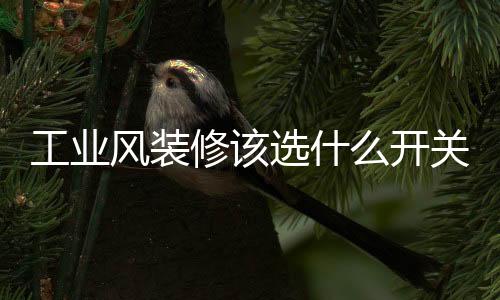 注重设计感同时要求实用