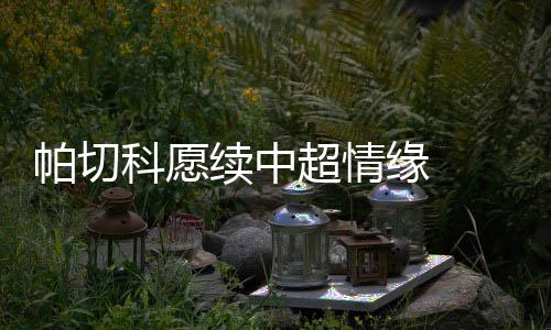 科愿虽然他在赛季结束后离任