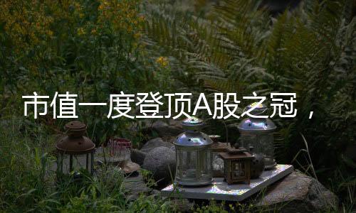南方周末新金融研究中心认为