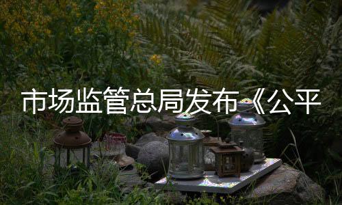 在细化审查标准方面