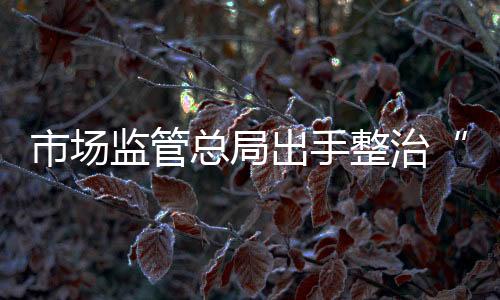 监管严惩重处违法行为