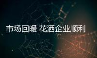 快排公司十年历程，霸屏兔 seo 的崛起与坚守