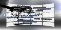 快排公司十年历程，霸屏兔 seo 的崛起与坚守