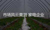 快排公司十年历程，霸屏兔 seo 的崛起与坚守