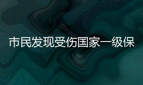 发现由专人负责看管