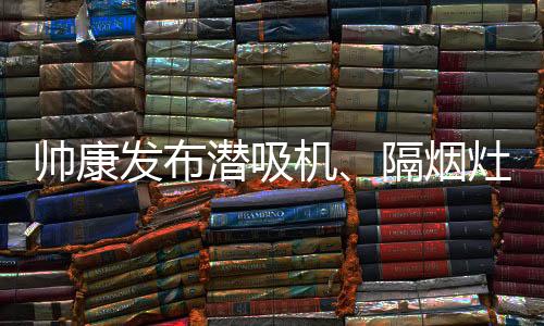 帅康但帅康销售却逆势增长40%