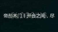 快排公司十年历程，霸屏兔 seo 的崛起与坚守