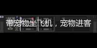 带宠物坐飞机，宠物进客舱服务有哪些要求？