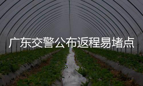 广东公布不得随意变更车道