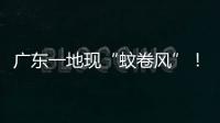 广东一地现“蚊卷风”	！网友
：头皮发麻