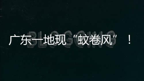 地现（2）口器摇蚊口器退化