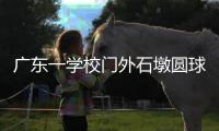 广东一学校门外石墩圆球加设钢管护栏，网友质疑多此一举�，学校回应：是出于安全考虑	，加装为防车辆撞击