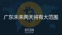 快排公司十年历程，霸屏兔 seo 的崛起与坚守