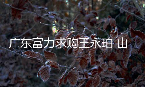 与他同行的广东还有夏宁宁