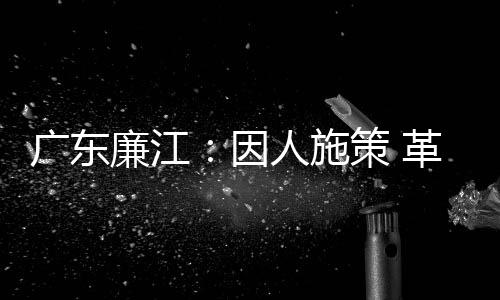 为贫困户发放鸡苗4批