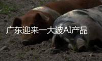 广东迎来一大波AI产品扎堆上新：8个大模型，30个应用场景……