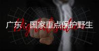 广东：国家重点保护野生动植物物种数量呈扩大态势