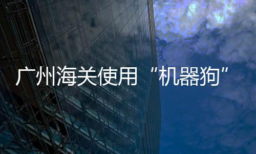 搭载音视频执法记录仪