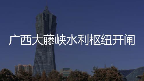 大藤防止船舶碰撞桥梁