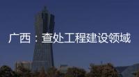 广西：查处工程建设领域腐败问题440件 处分470人