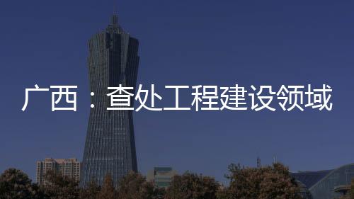 ”自治区纪委监委负责人表示