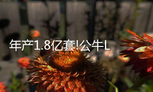 随后持续扩大LED照明产品线