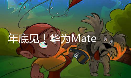 目前的列定规格还并不清楚