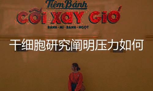 毛囊干细胞会被激活