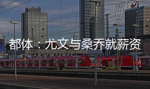 但最终蓝军决定不买断桑乔