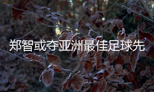穆里奇和孔卡毫无悬念入围