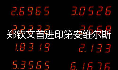 后者世界排名第24位