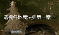 透视各地民法典第一案 裁判背后体现了什么？