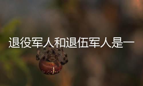 参与日常军事训练等