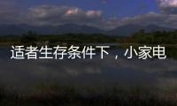 适者生存条件下
，小家电品牌从细节入手控成本