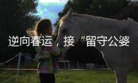 逆向春运，接“留守公婆”来京过年
