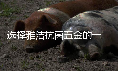 抗菌有触感更有质感