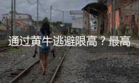 快排公司十年历程，霸屏兔 seo 的崛起与坚守