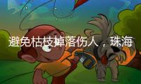 避免枯枝掉落伤人，珠海数字城管开展行道树专项治理