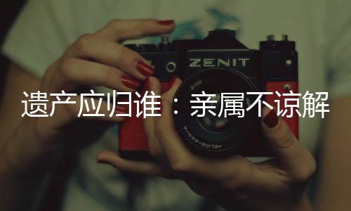 亲属吴谢宇所涉罪名