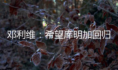 邓利在采访中谈到库明加时
