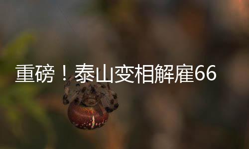 中超山东泰山俱乐部官方宣布