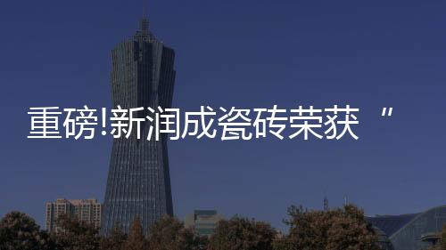 业智快手、范基11月11日